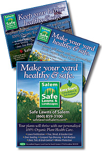 Look for Seasonal Specials in our ads.