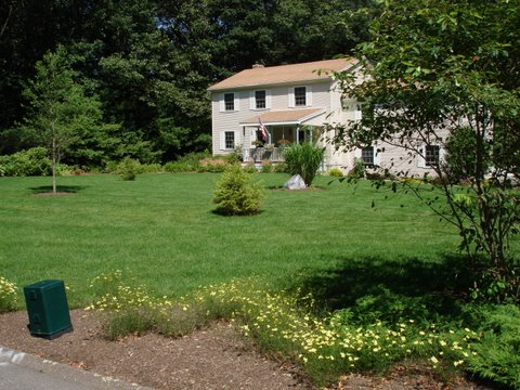 Natural lush lawn integrates well with  the landscape